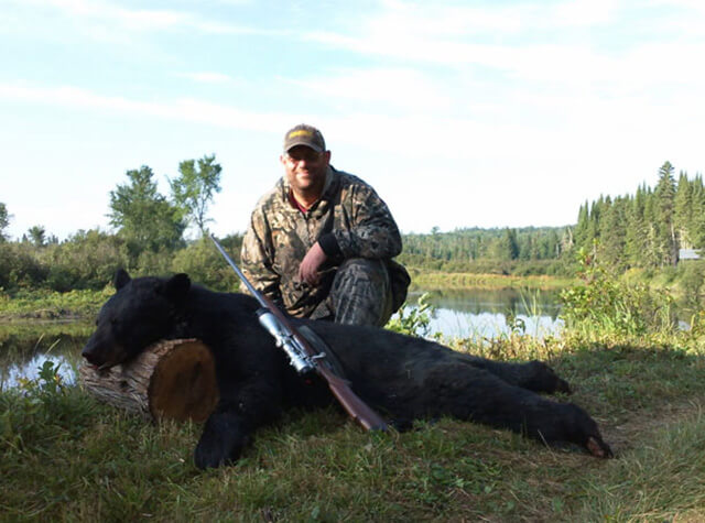 large black bear being prepared to be skinned