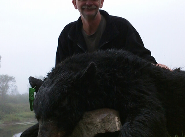 man in field with rifle posing with his black bear kill in northern maine