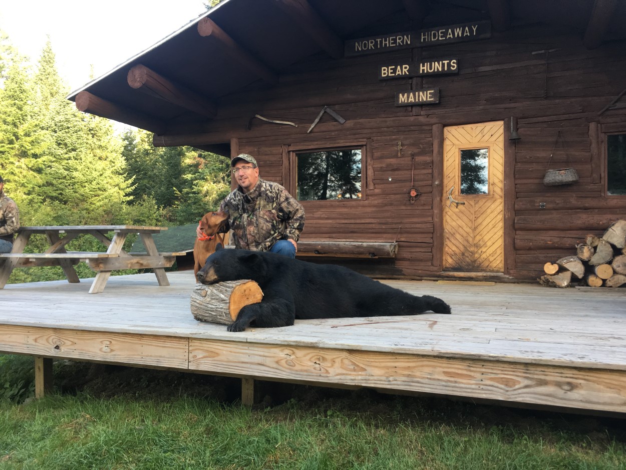 man sitting outside black bear hunting outfitter lodge with killed black bear