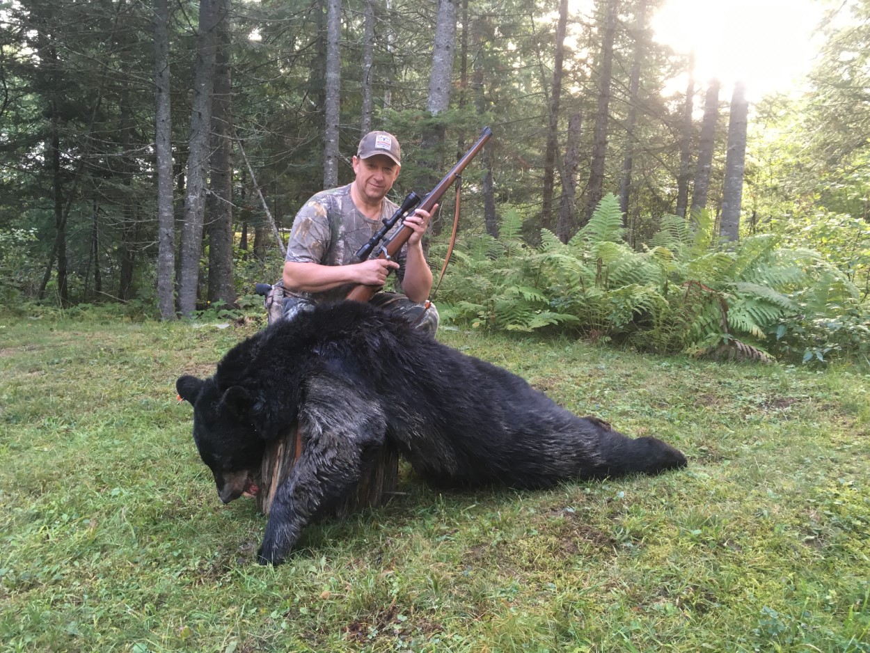 rifle hunting black bears