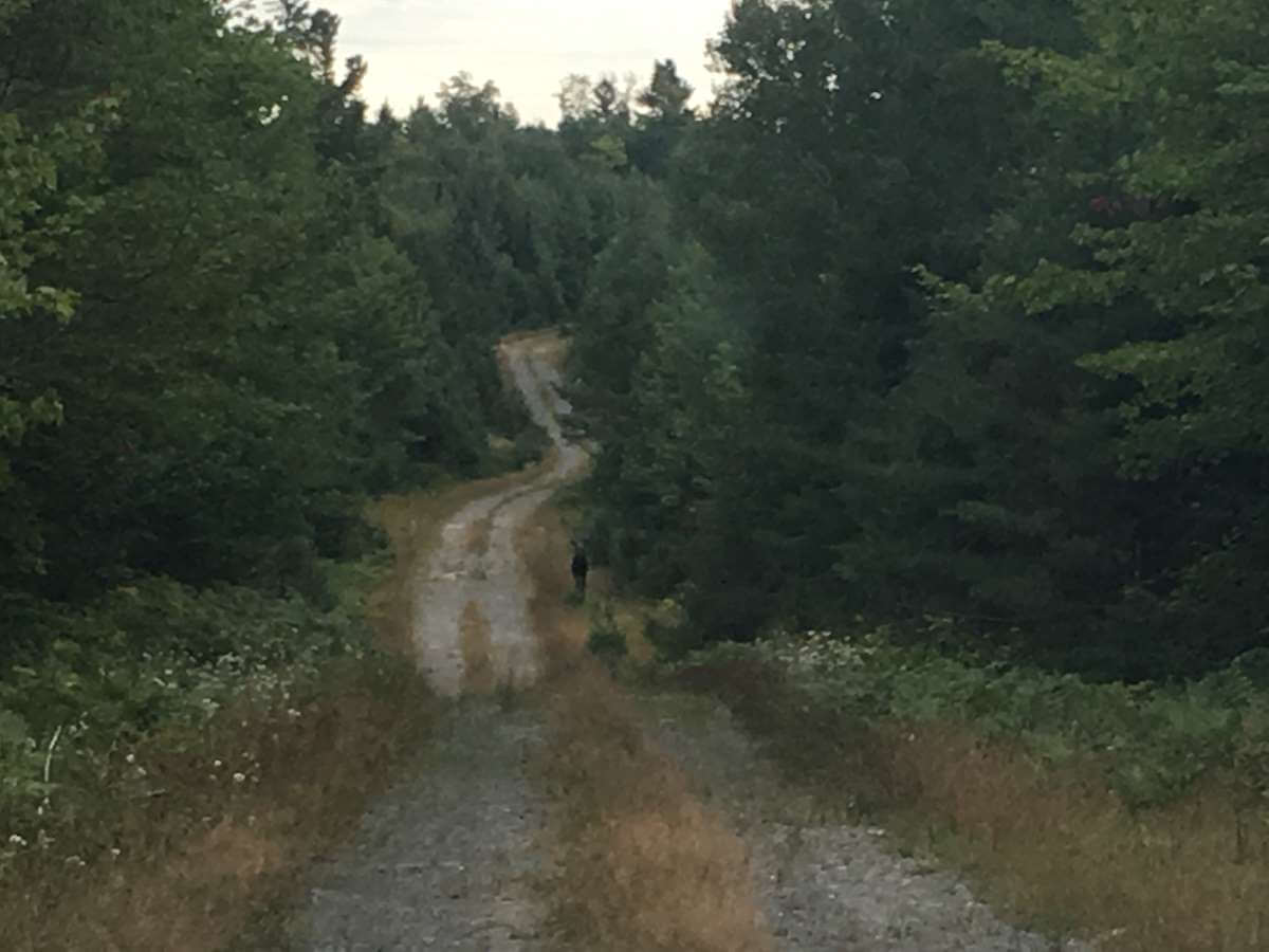 bumpy roads leading to black bear outposts