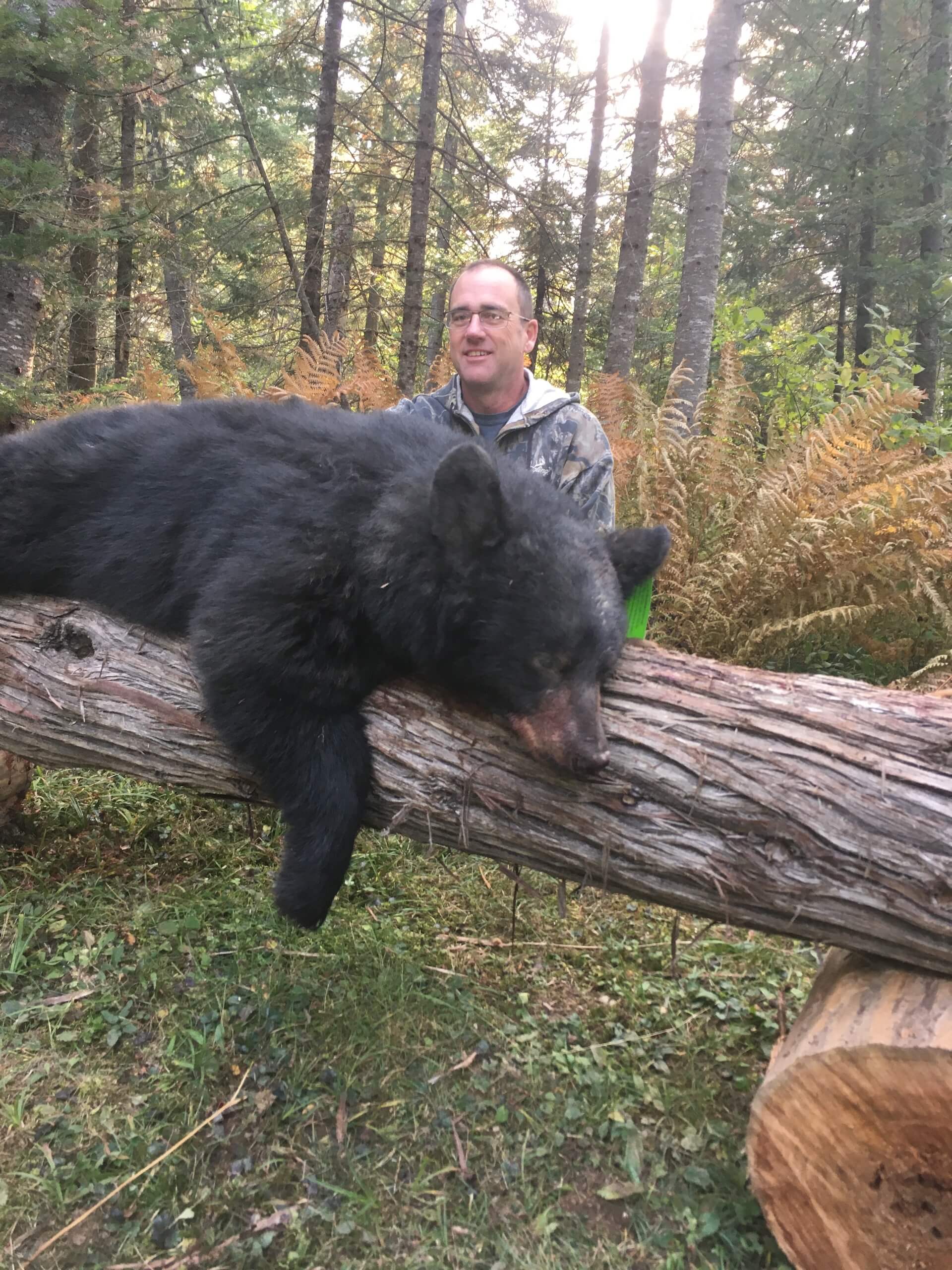 guaranteed black bear hunts