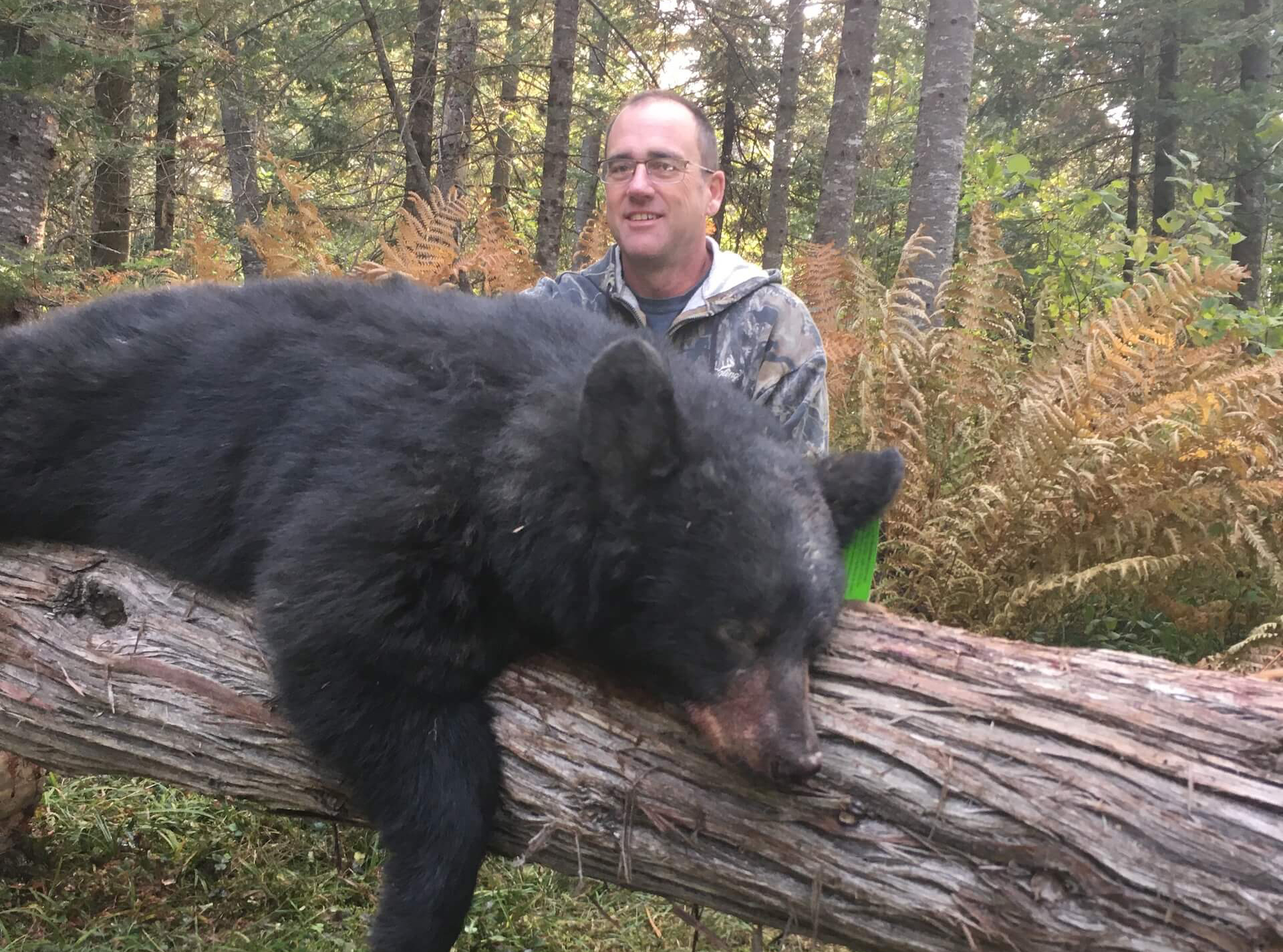 Black Bear Pictures From 2021 | Hunted Black Bear Images