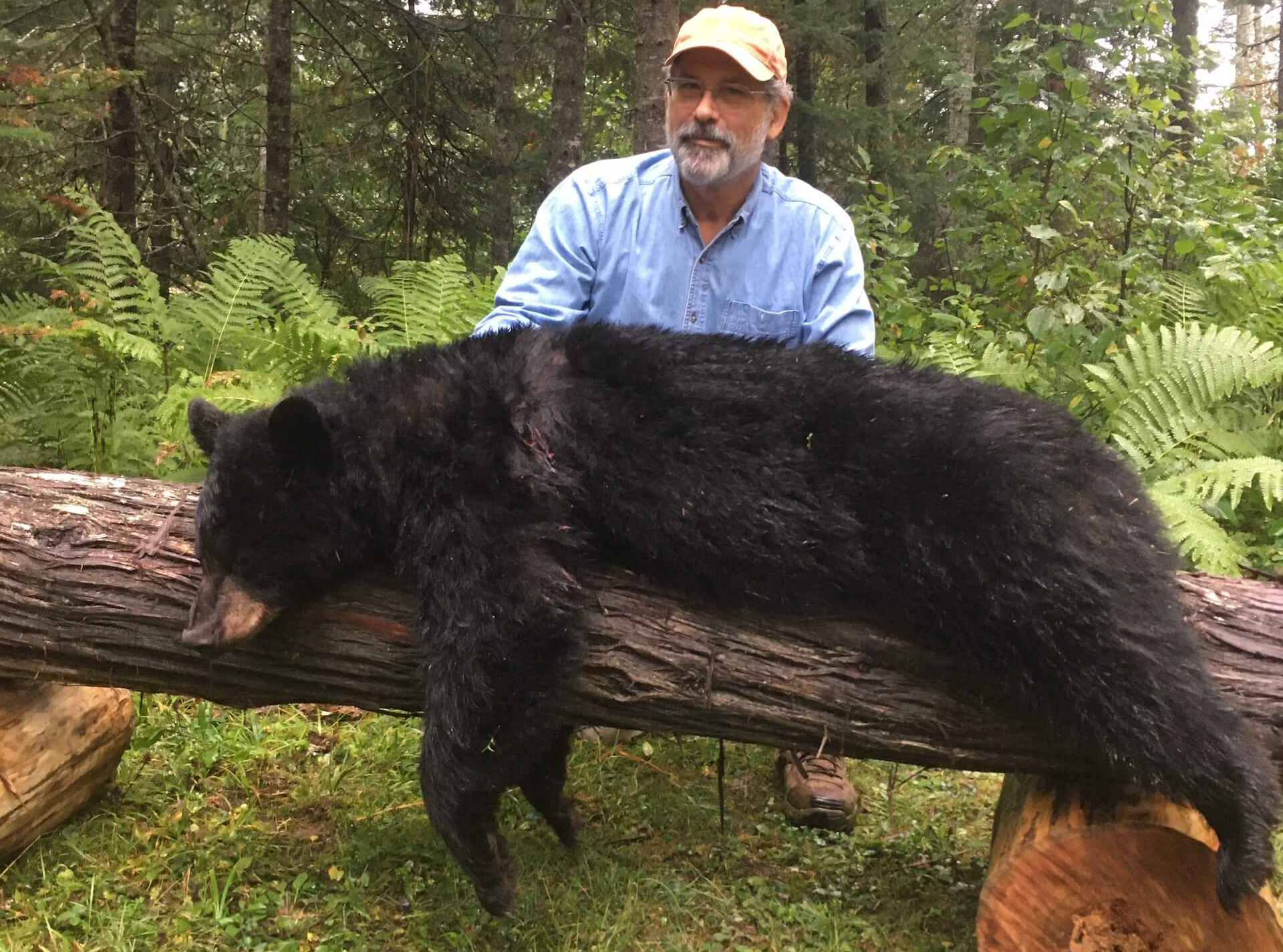 affordable bear hunts