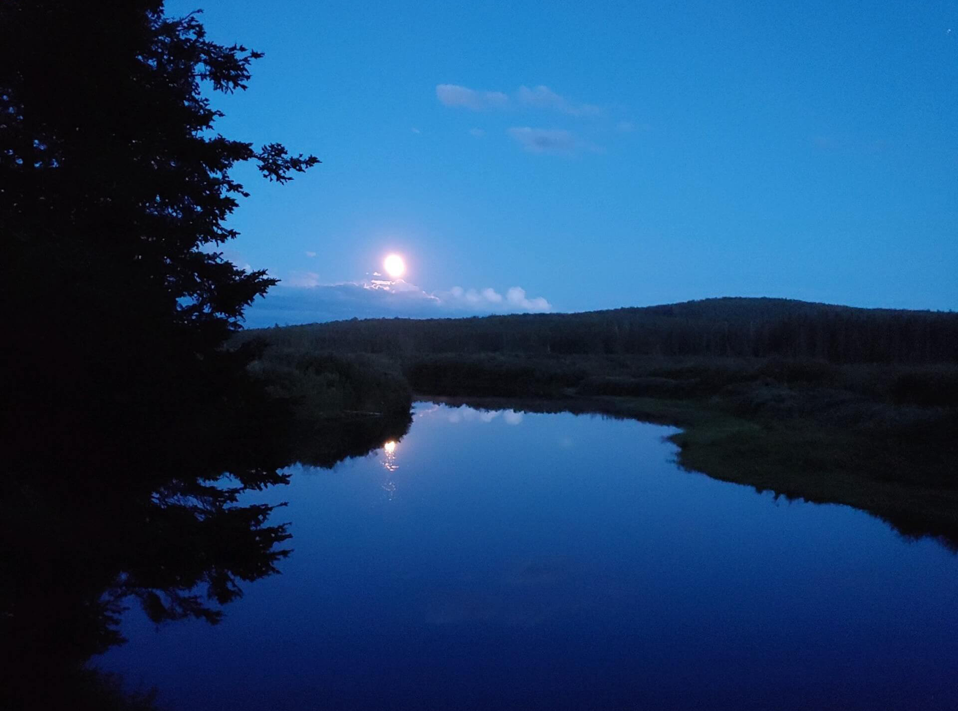 fishing lake