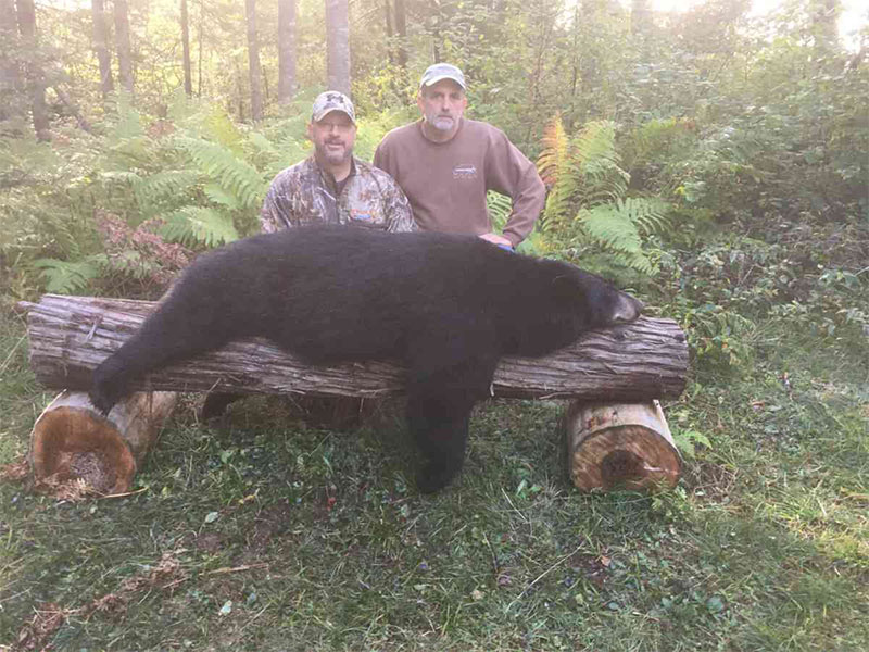 killed black bear hunt