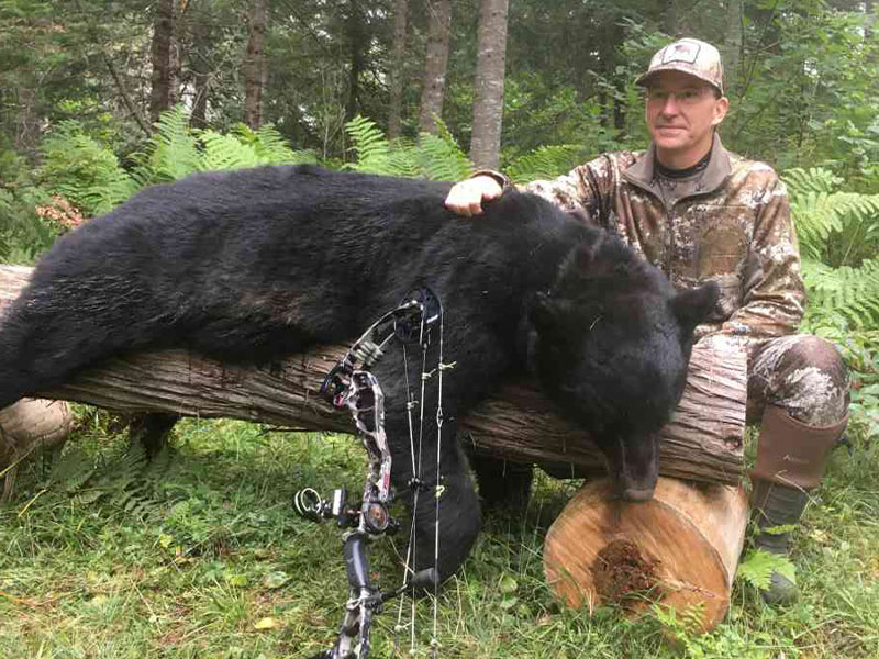 black bear hunting guides