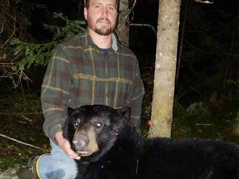 bear bow hunting