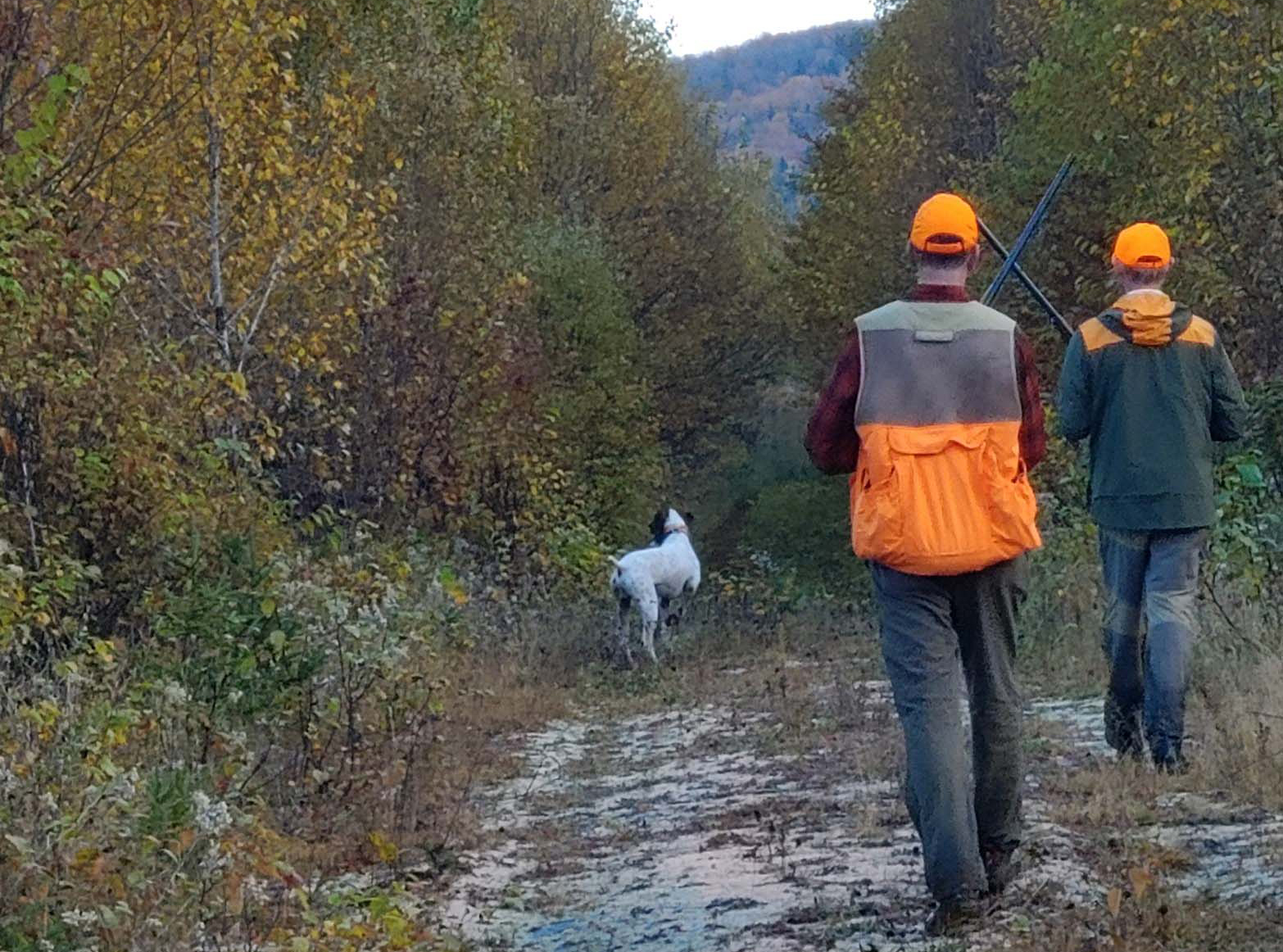 affordable moose hunts