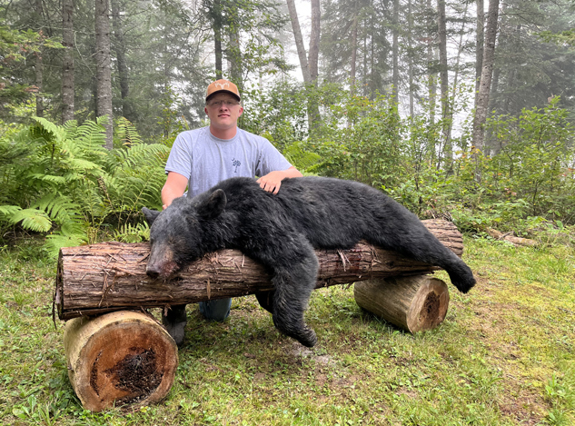 black bear hunting at lodge in northern maine