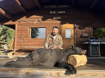 black bear hunting at lodge in northern maine