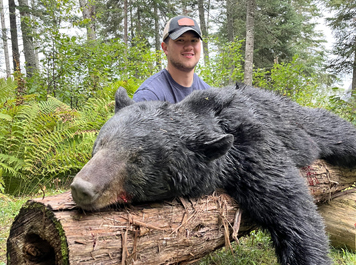 black bear hunting at lodge in northern maine