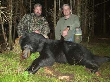 black bear hunting at lodge in northern maine