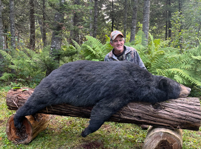 black bear hunting at lodge in northern maine
