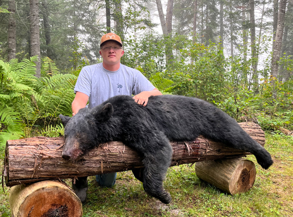 black bear hunting at lodge in northern maine