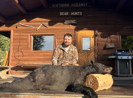 black bear hunting at lodge in northern maine