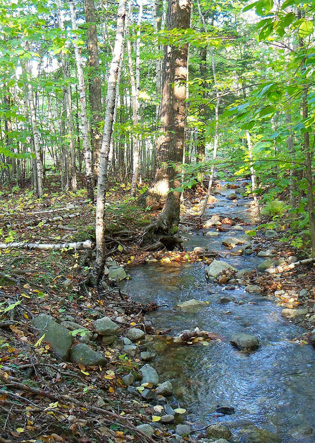 maine small stream