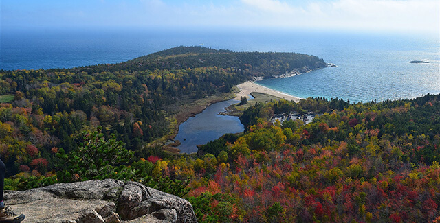 maine forest and lake