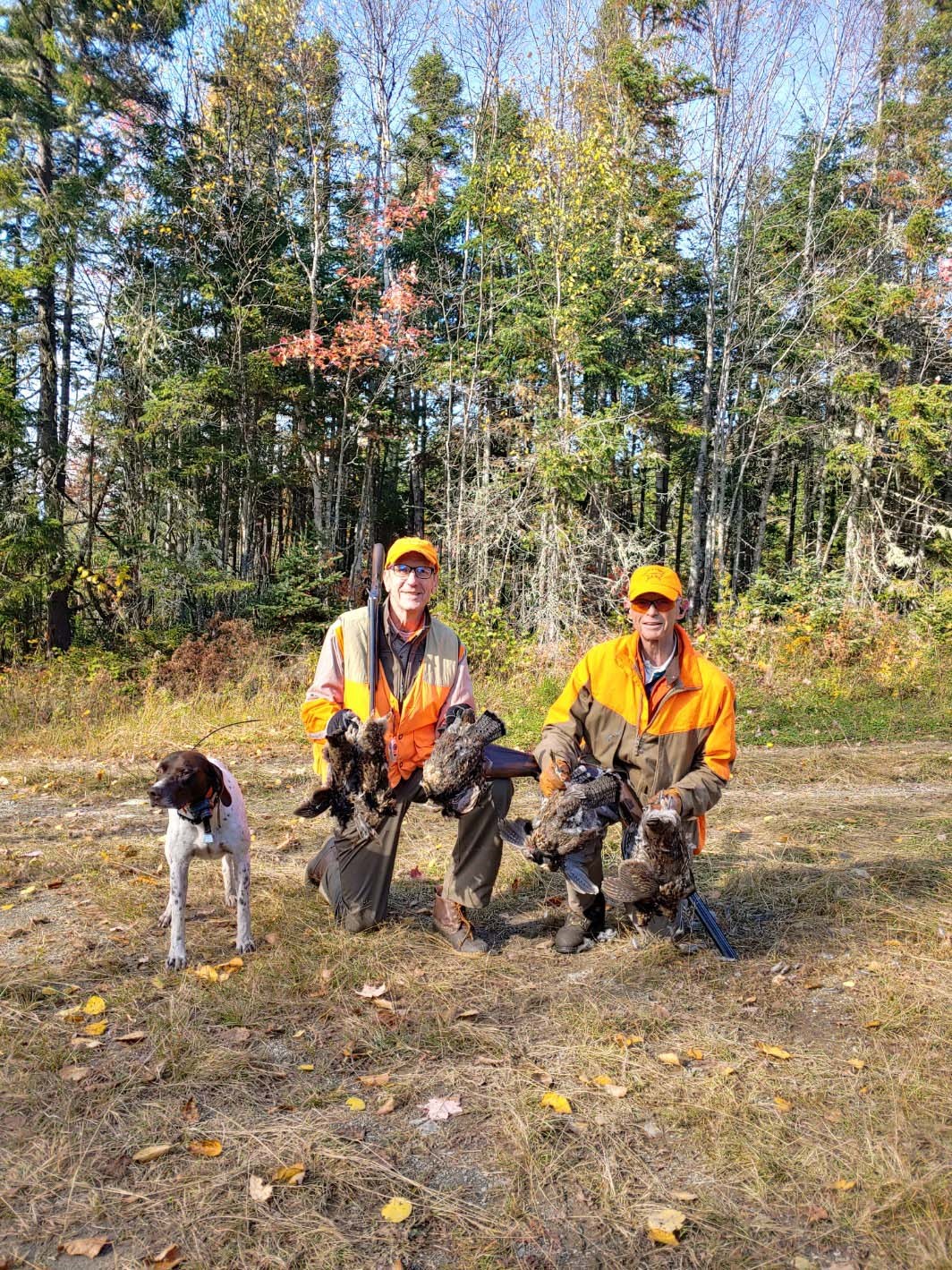 Maine Grouse Hunting SeasonGuided Bird Hunting