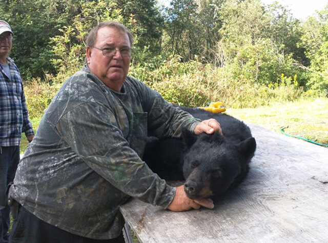 large killed black bear from the side resting on a rock