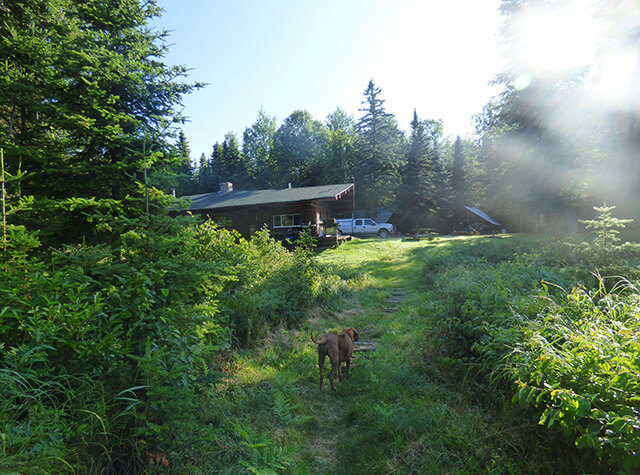 picnic table and grill outside hunting lodge in northern maine