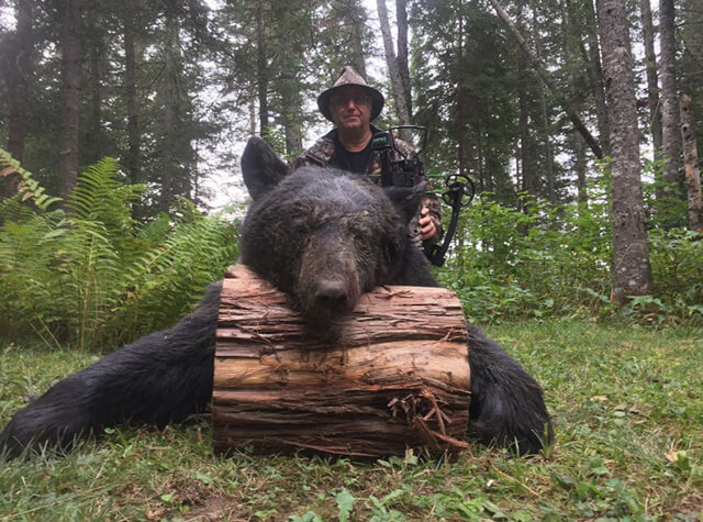 rifle hunter posign with killed black bear in northern maine