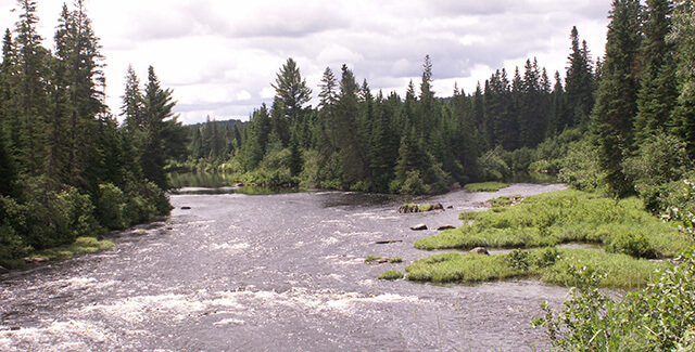 Northern maine large stream