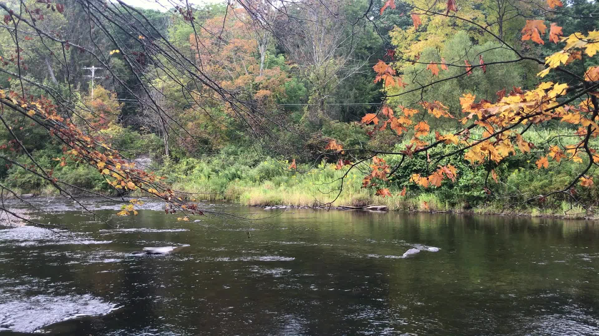 Calm river flowing in Maine